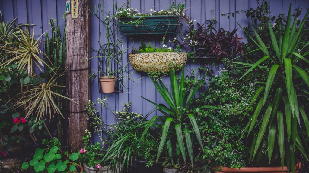 Obiecte care atrag norocul in gradina ta