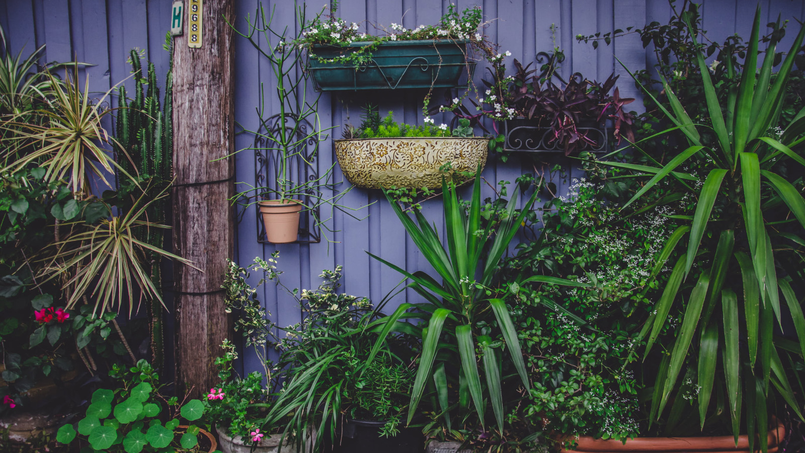 Obiecte care atrag norocul in gradina ta