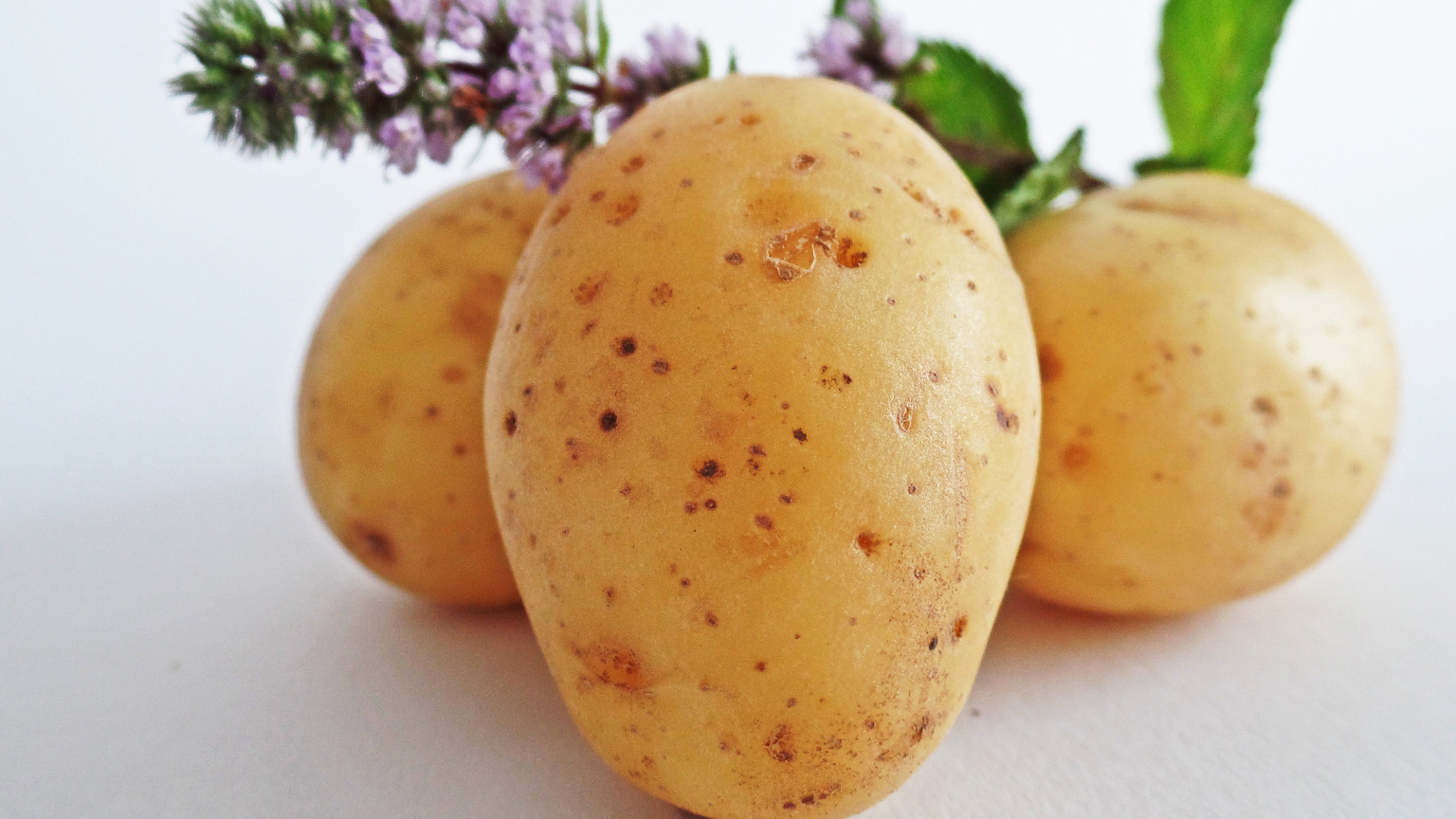 Cum poţi să ai geamuri mereu curate