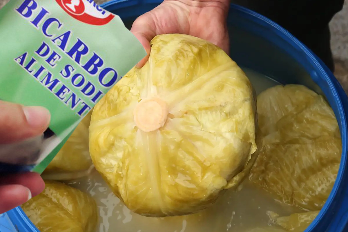 Trucuri utile pentru gospodine - cum elimini mirosul de varză murată din butoi