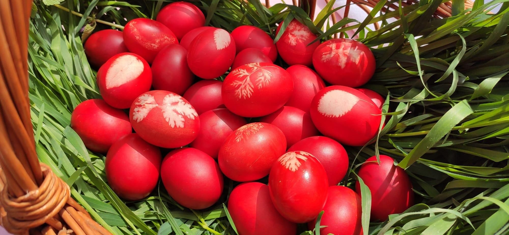 Dan Helciug, pregatiri de Paste in familie 2