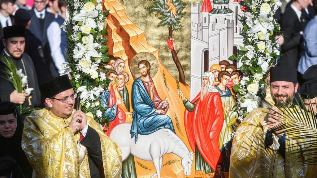 Unde sa pui salcia in casa