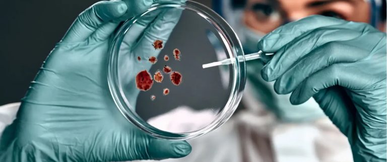 Virusul care ar putea declanşa o nouă epidemie în lume. Este răspândit de ţânţari