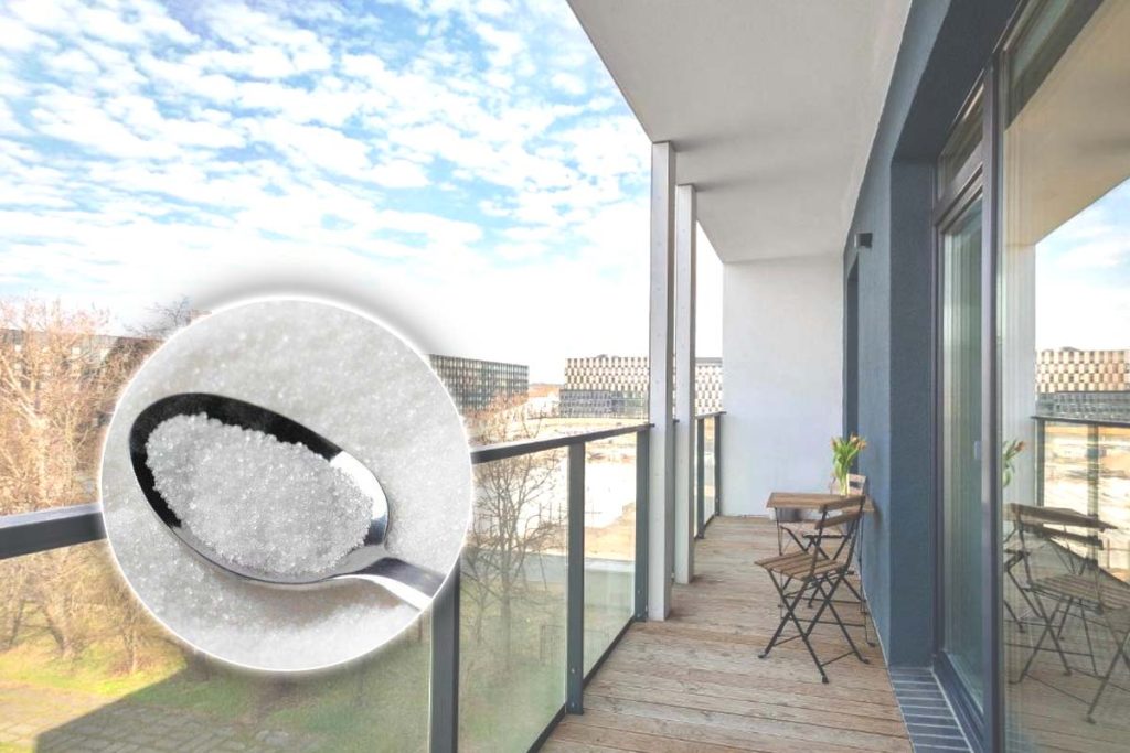 De ce este bine să lași o linguriță cu zahăr în balcon când pleci de acasă