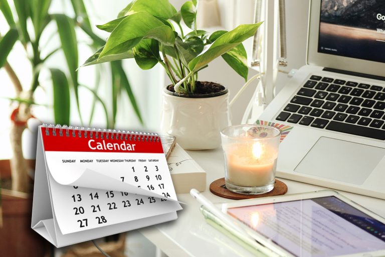 Zilele în care este bine să plantezi florile de interior. Vor fi frumoase și sănătoase tot anul