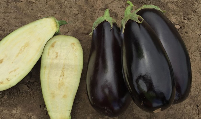 cum se coc vinetele la cuptor