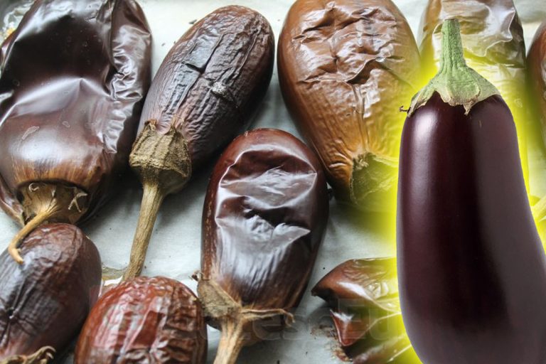 Cum se coc vinetele la cuptor. Secretele bucătarilor de top