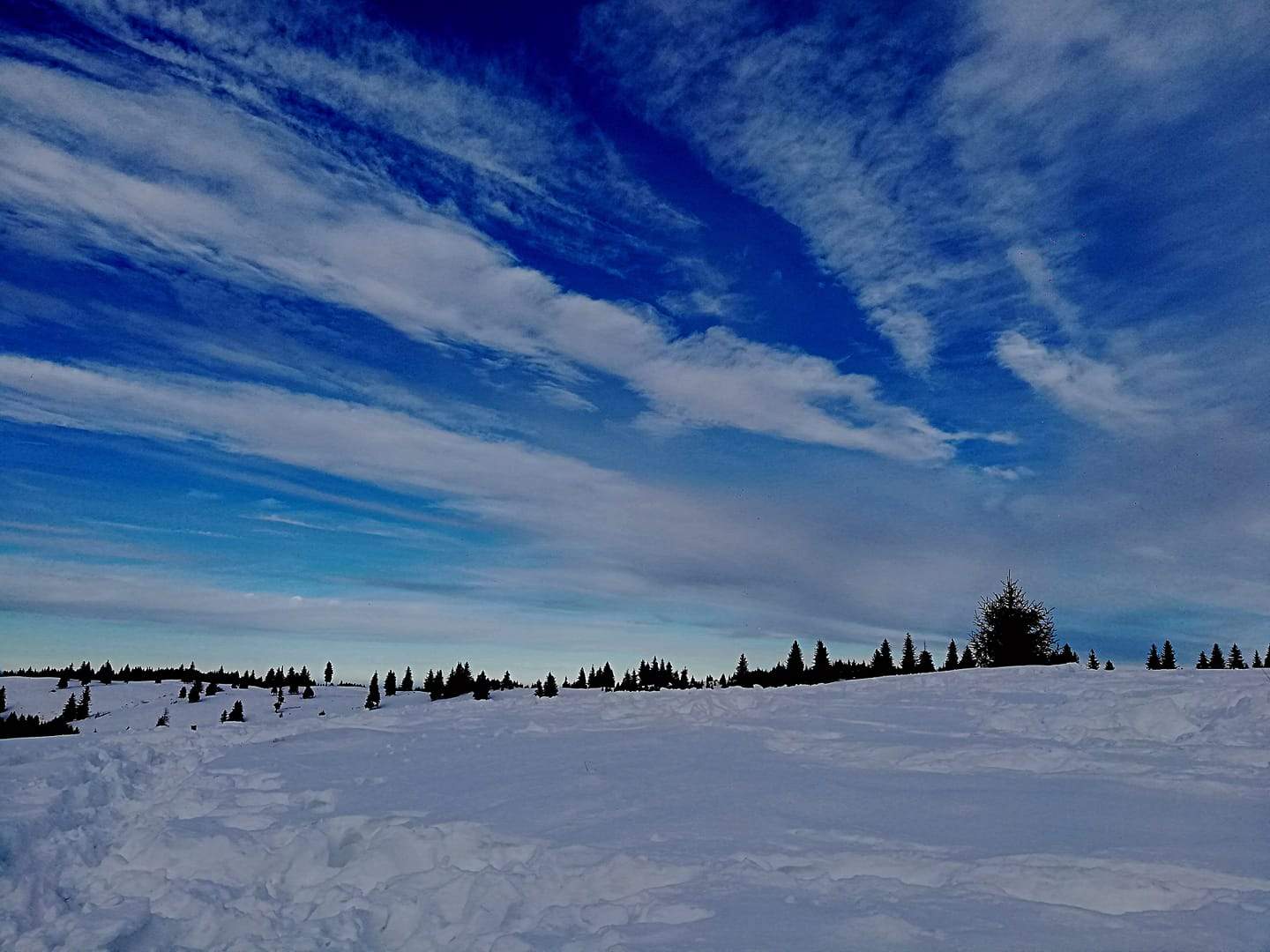Păltiniș este locul spectaculos din România unde altitudinea este de 1442 de metri