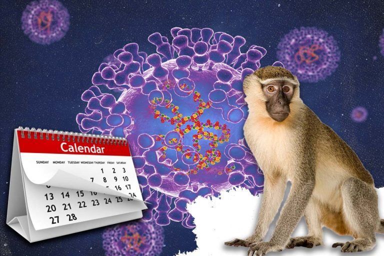 Pacienții cu variola maimuței ar putea fi infecțioși până la 10 săptămâni. Ce au descoperit oamenii de știință