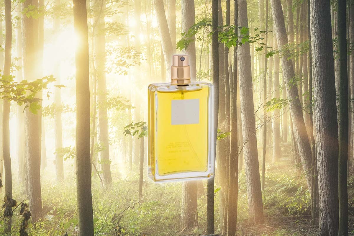 Ce înseamnă parfum tester