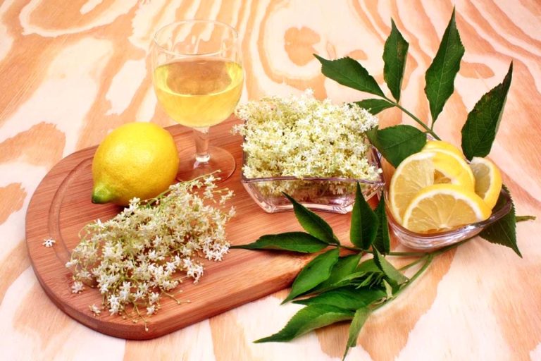 Cum se prepară socata. Reteța bunicii pentru un gust ca în copilărie