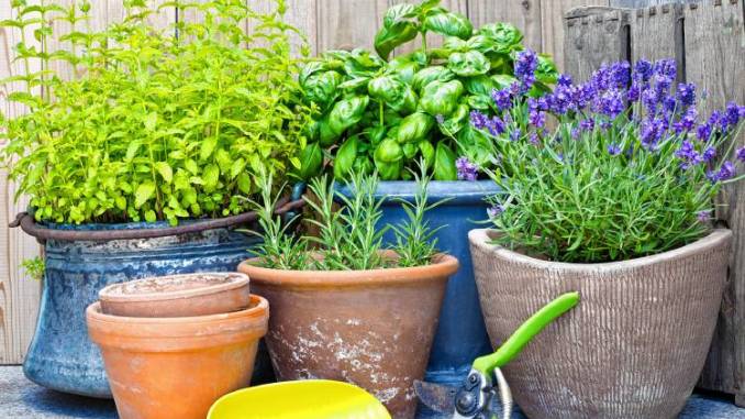 Cum să dormi vara cu geamul deschis fără să intre țânțarii