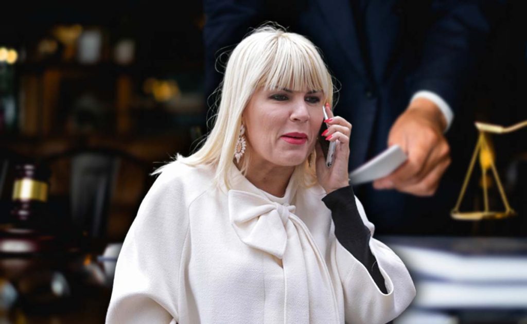 Elena Udrea închisoare