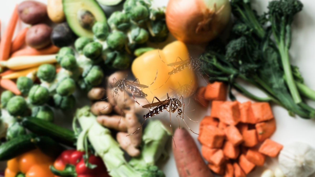 Leguma care te scapă definitiv de gândaci