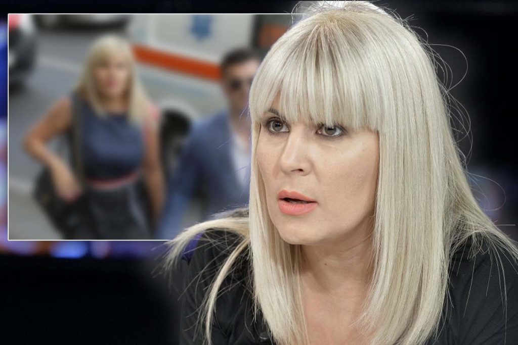 Elena Udrea relație