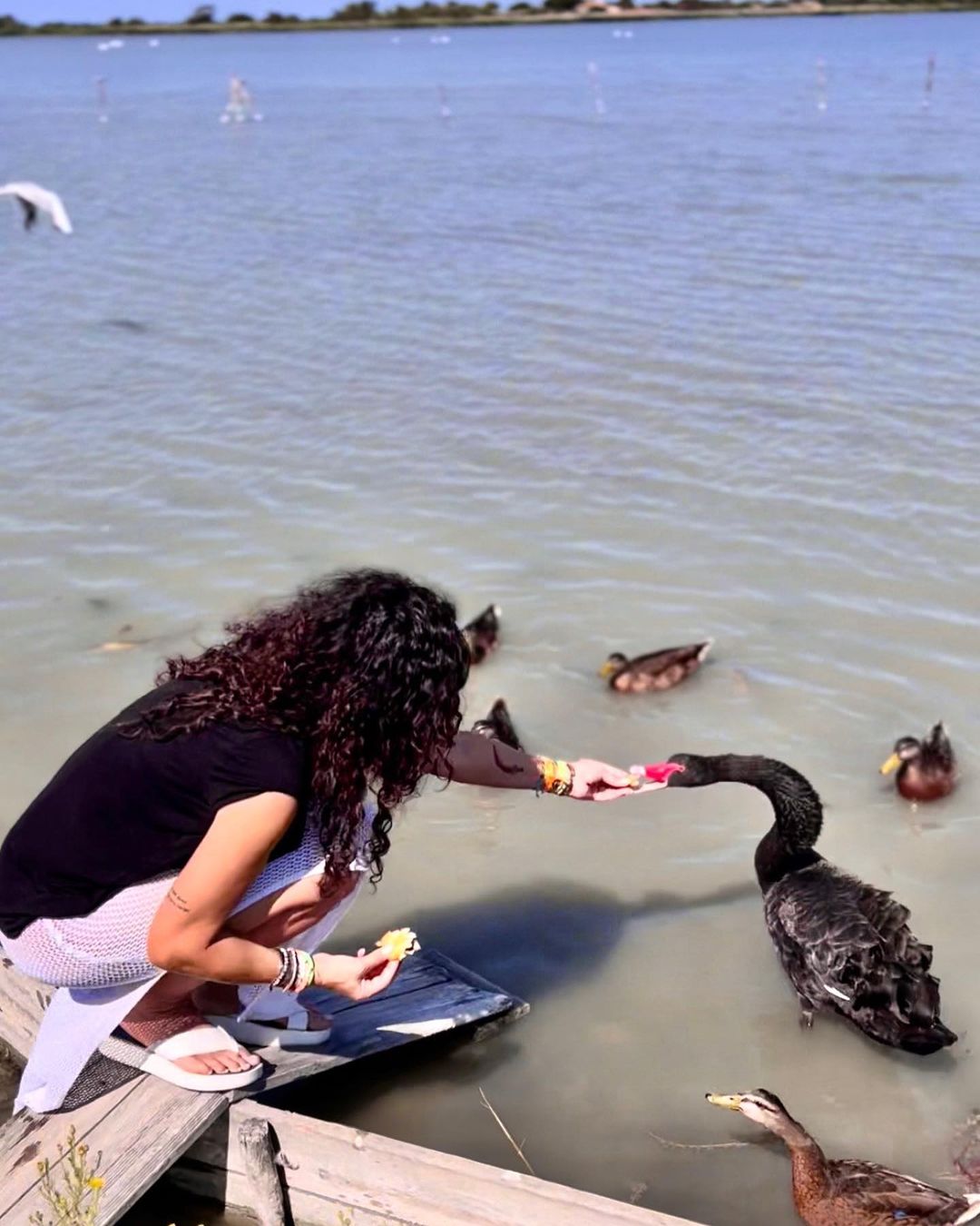 Mihaela Rădulescu și Felix Baumgartner, vacanță