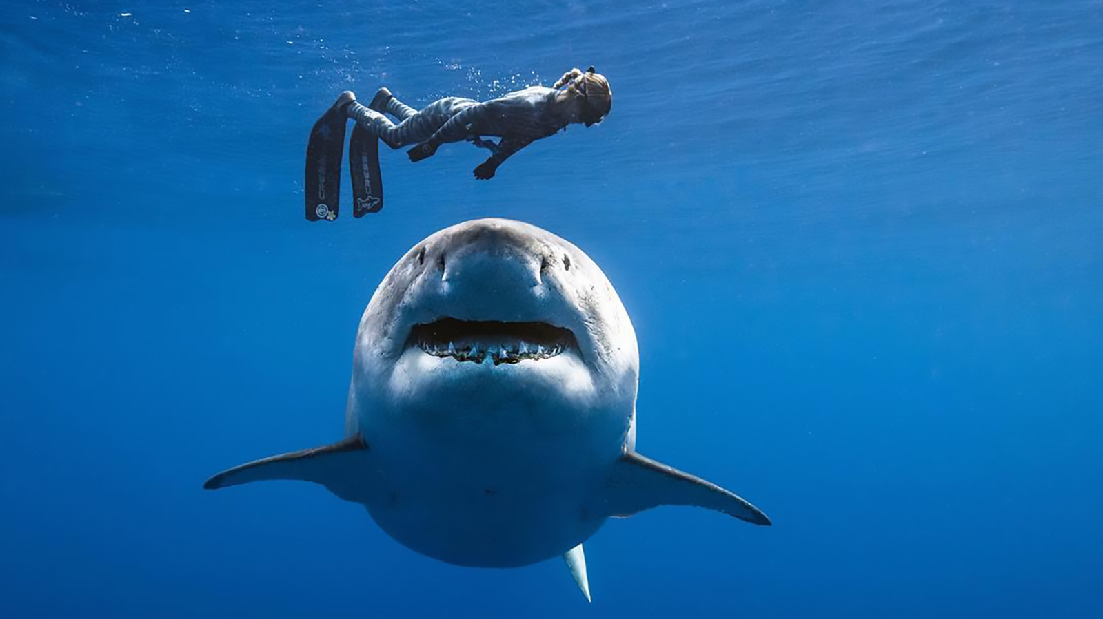 Cine este românca atacată de rechin în Egipt