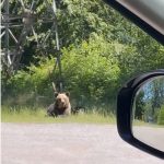 Ioana Țiriac a vizitat România în această vară