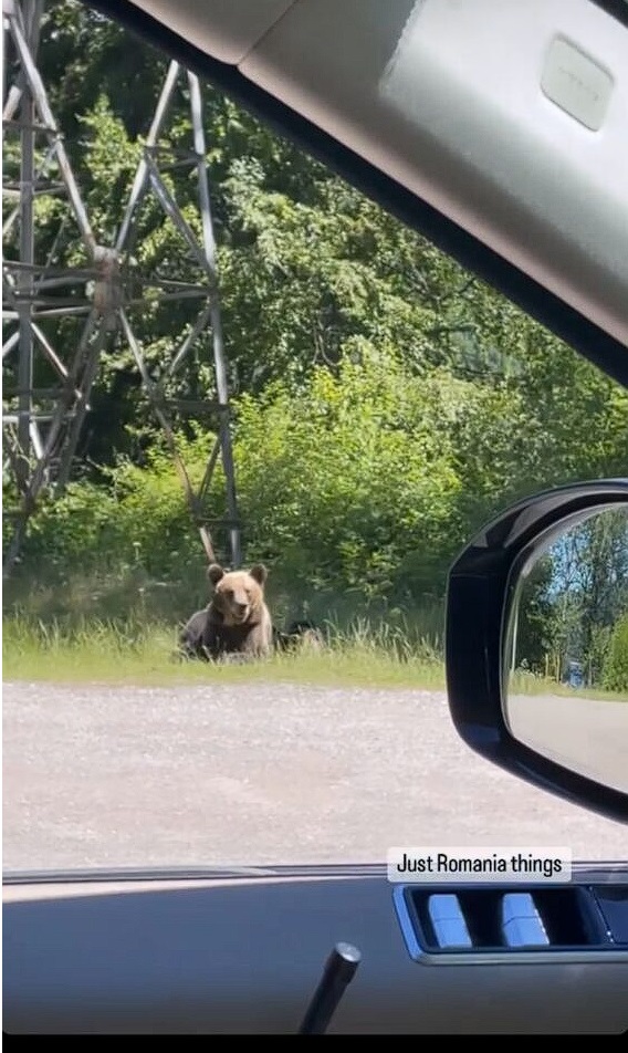 Ioana Țiriac a vizitat România în această vară