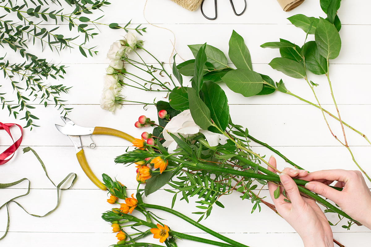 Flori cu viață lungă