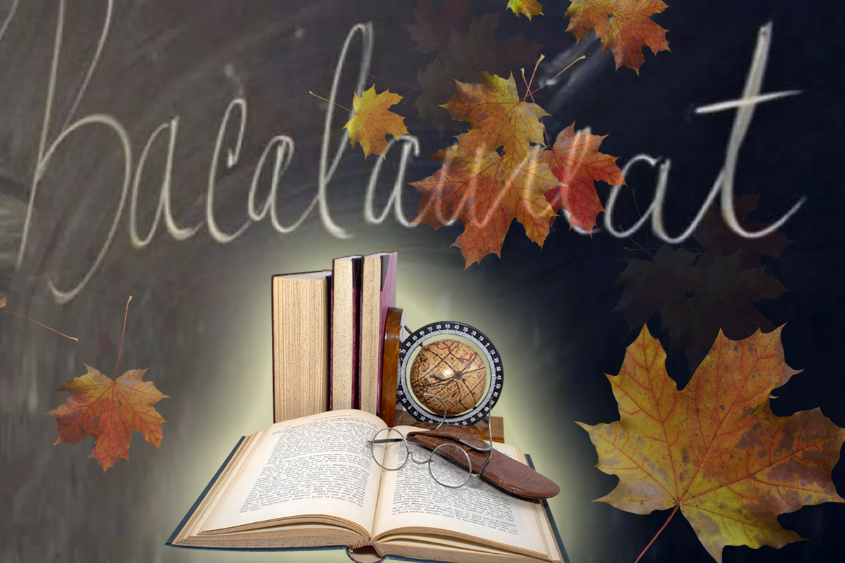 Subiecte BAC 2022 sesiunea de toamnă la limba română