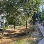 Cum arată astăzi blocul în care a copilărit Inna