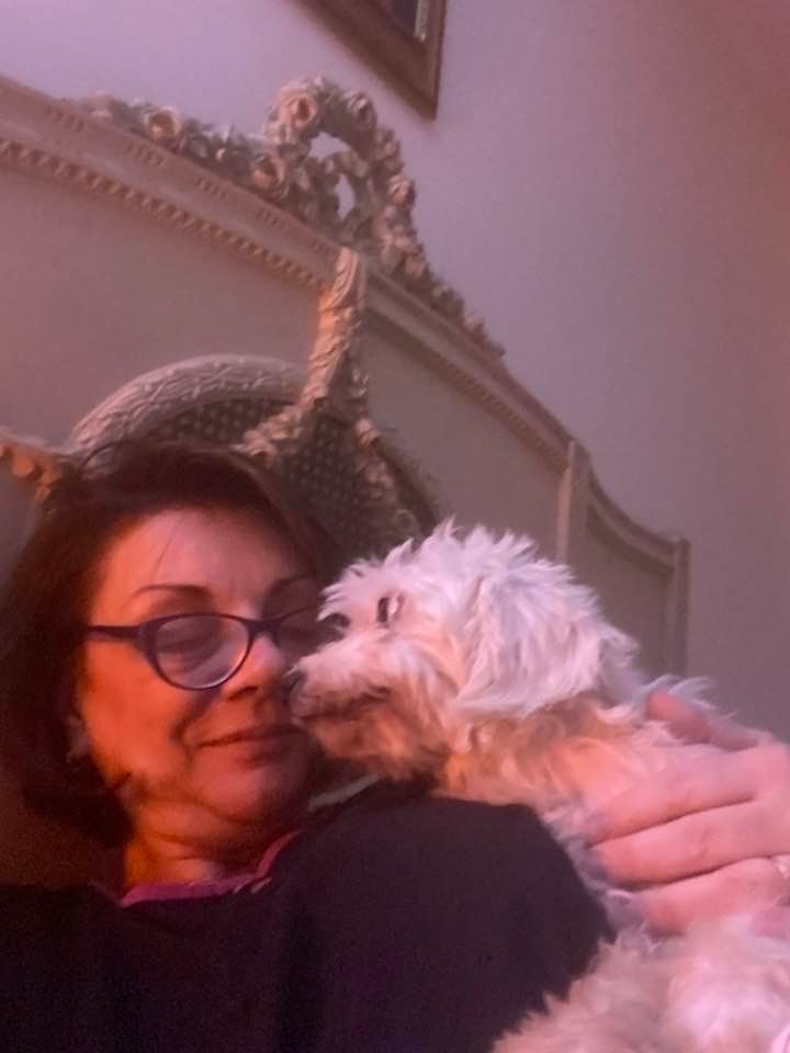 Carmen Tănase, răsfățată de pisicile de acasă, după o zi încărcată la filmările pentru serialul ”Clanul”