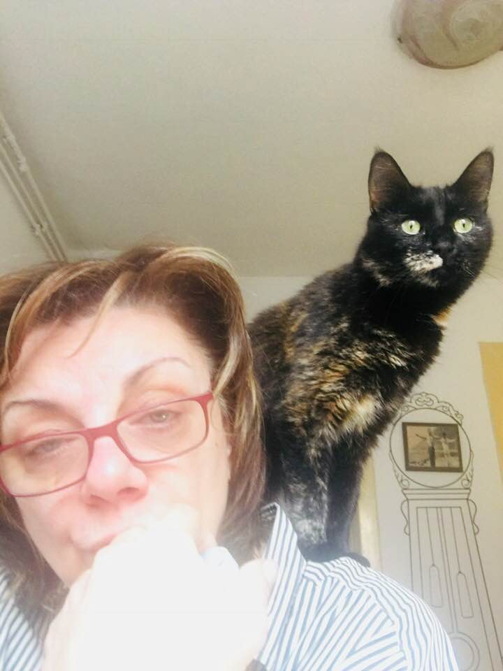 Carmen Tănase, răsfățată de pisicile de acasă, după o zi încărcată la filmările pentru serialul ”Clanul”