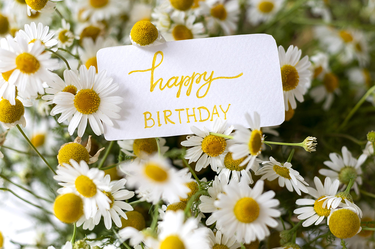 Mesaje de Sfânta Maria Mică