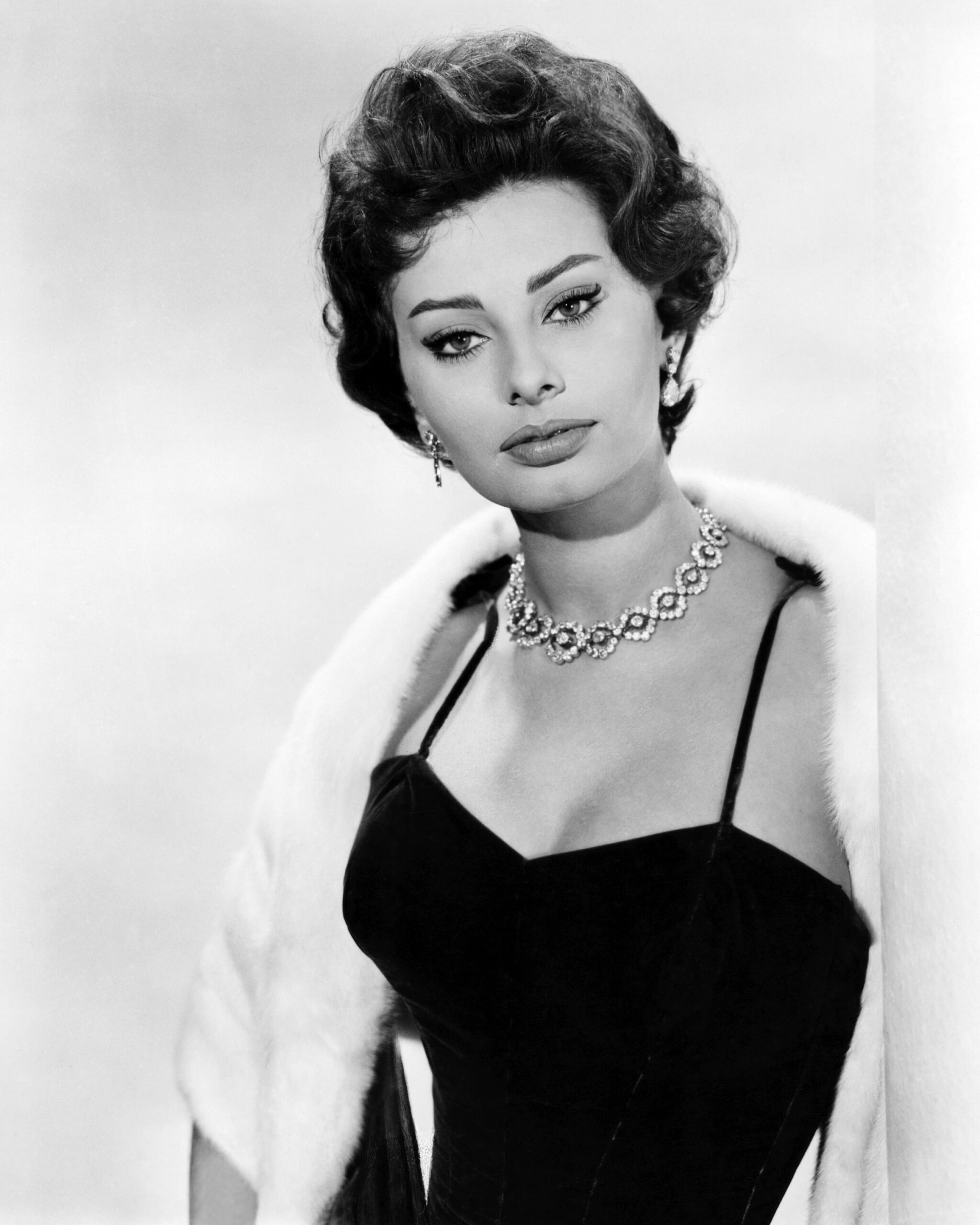 Sophia Loren