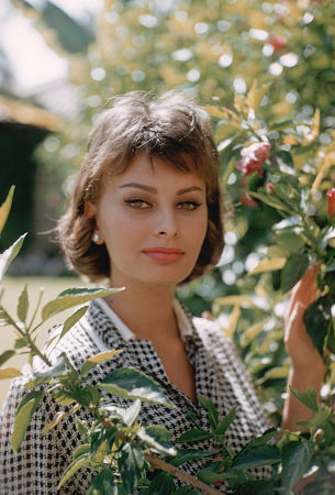 Sophia Loren