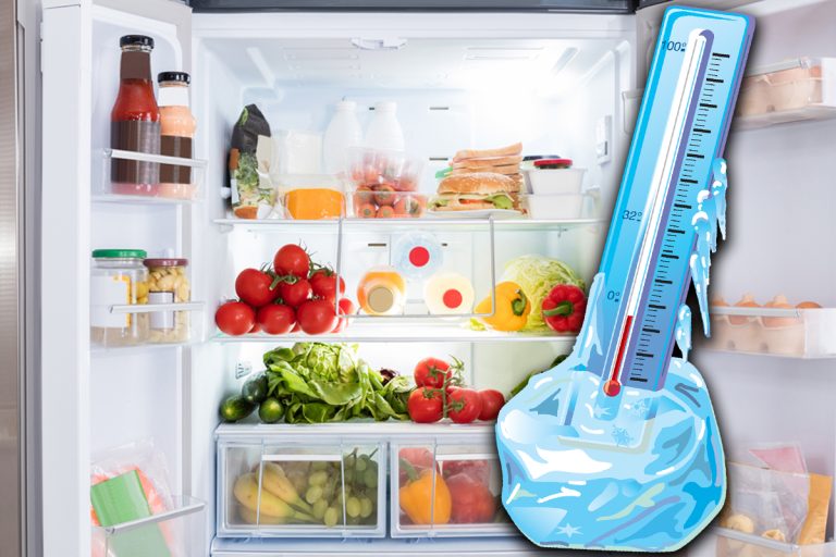 Temperatura la care trebuie setat frigiderul pentru un consum mai mic de energie electrică. Vei face mari economii lunar