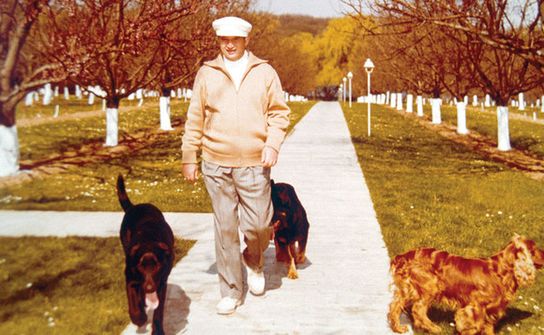 Nicolae Ceaușescu și câinii săi