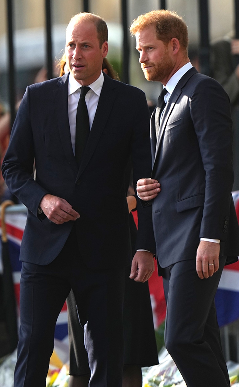 Prinții William și Harry, 45 de minute de negocieri înainte să iasă împreună în public la Windsor