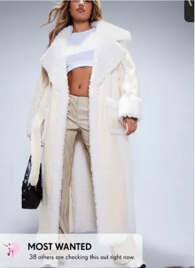 Cum arăta paltonul pe site