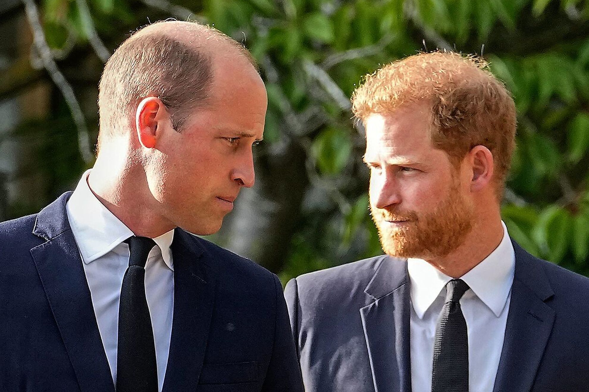 Oferta de pace a Prințului William, respinsă de Harry