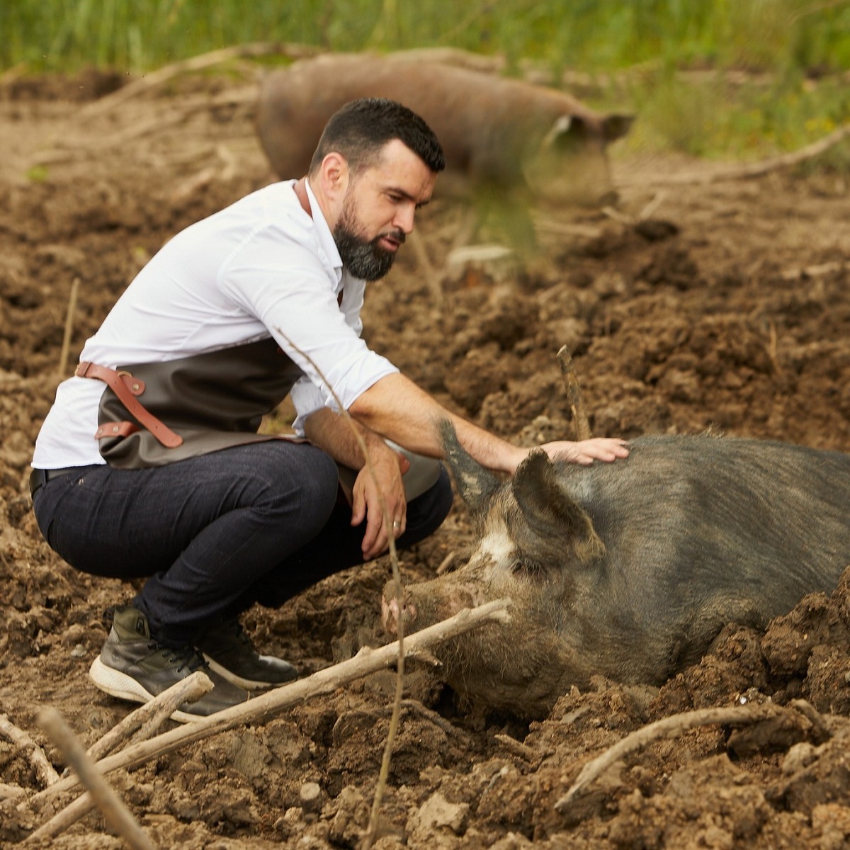 Vlad Miriță la ”Moșia Chindia”