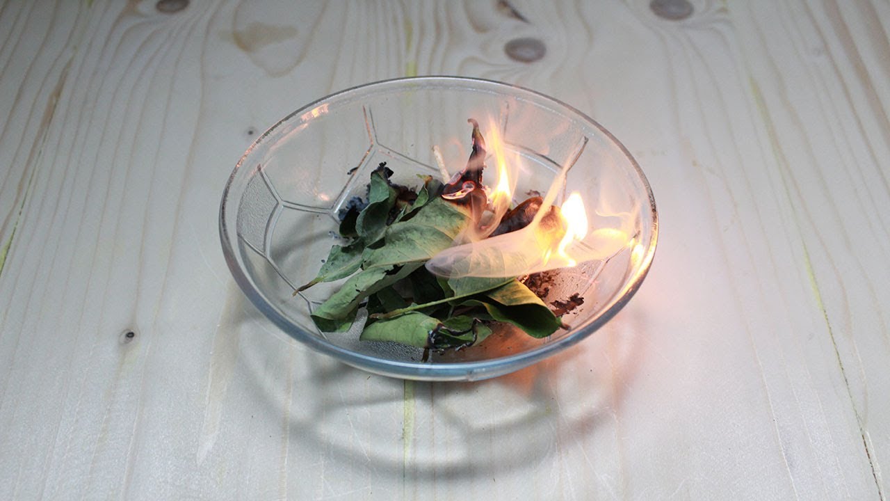 De ce este bine să arzi o frunză de dafin în casă