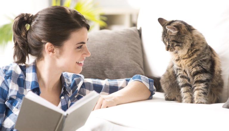 De ce pisica nu vrea să se uite în ochii tăi. Mesajul pe care-l transmite, de fapt