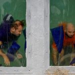 Giani Kiriță nu consideră că îi datorează lui Cornel Palade locul din finala „Sunt celebru, scoate-mă de aici!”