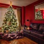 Brad natural sau artificial? Avantajele și dezavantajele pe care să le iei în calcul, înainte să faci alegerea