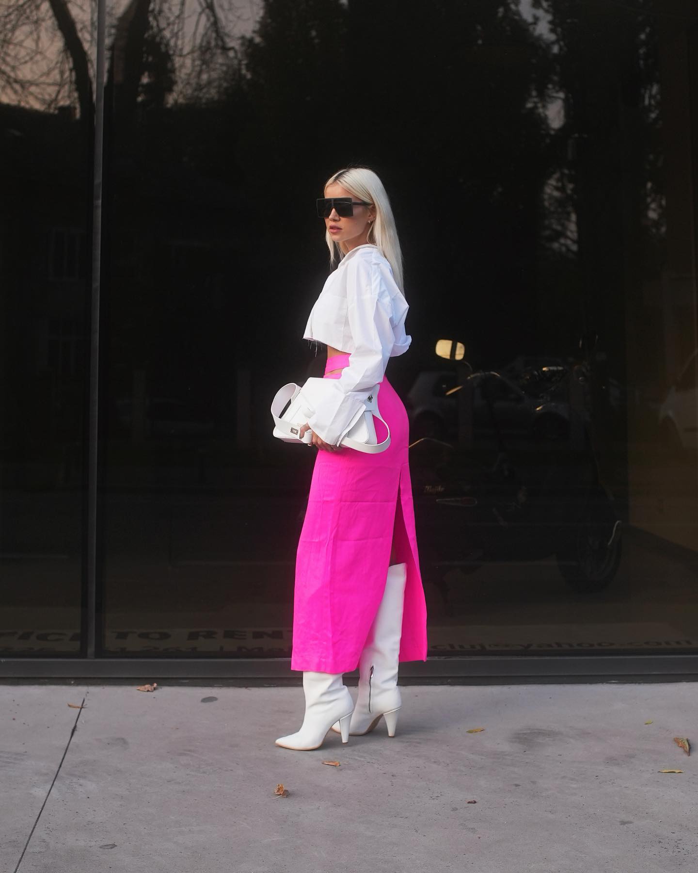 Cati bani castiga Alina Ceusan din afacerile sale 7