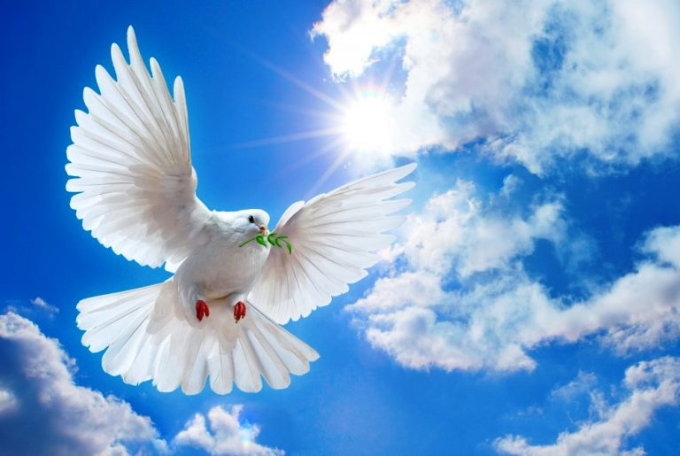 Ce înseamnă când visezi porumbei. Mesajul profund pe care îl ascunde acest vis