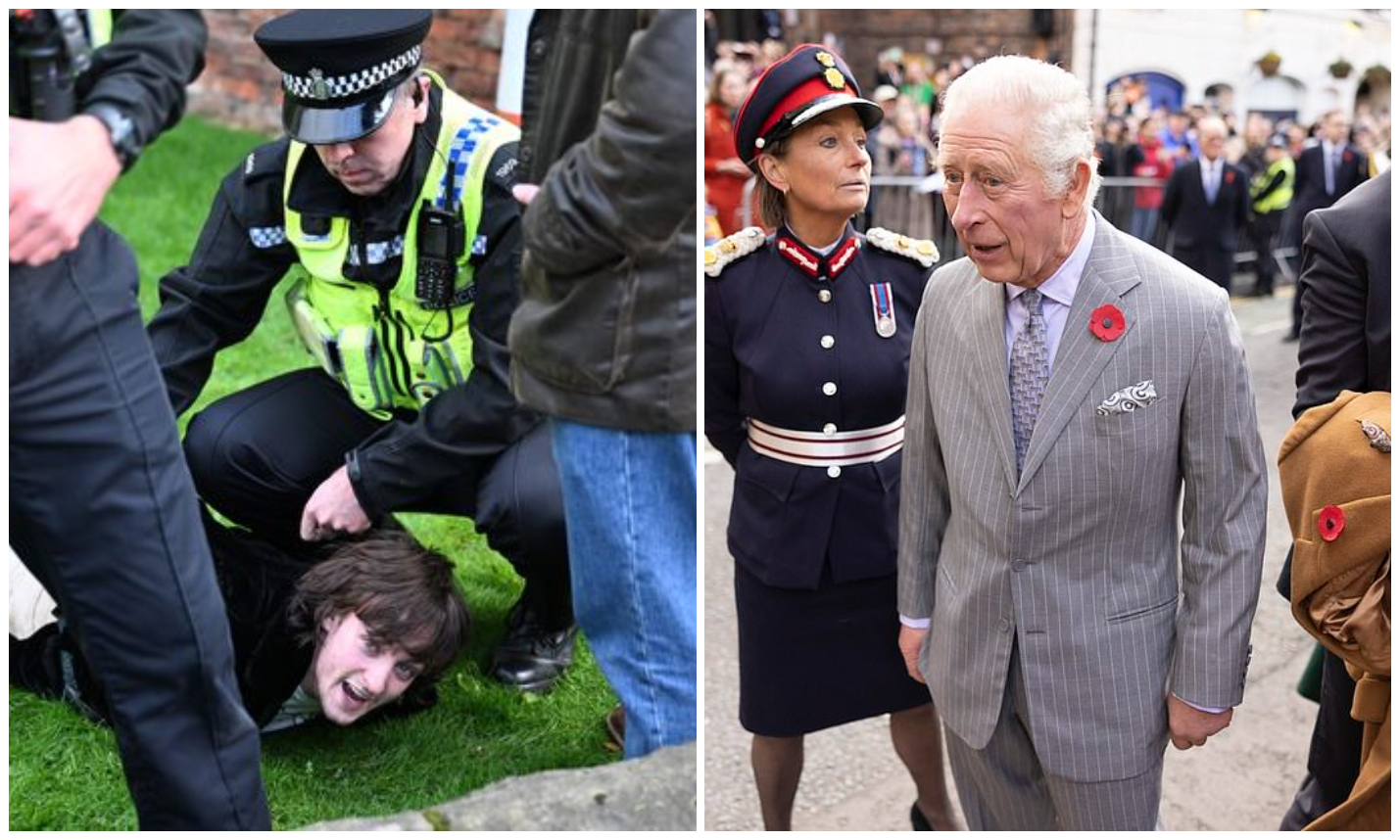 Cine este barbatul care i-a atacat pe regele Charles si regina consoarta cu oua in public