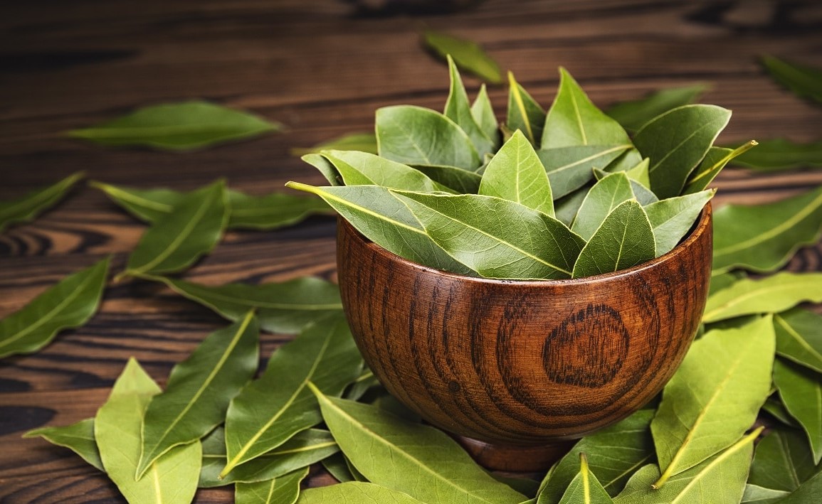 De ce ar trebui să arzi mereu foi de dafin în casă. Efectul e chiar surprinzător