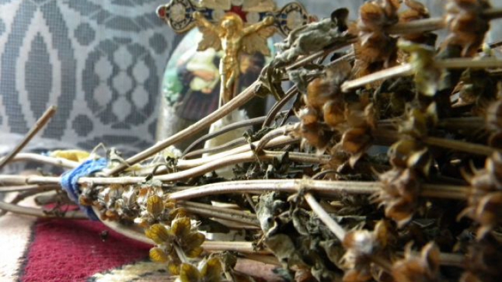 De ce se pune busuioc sub pernă pe 29 noiembrie