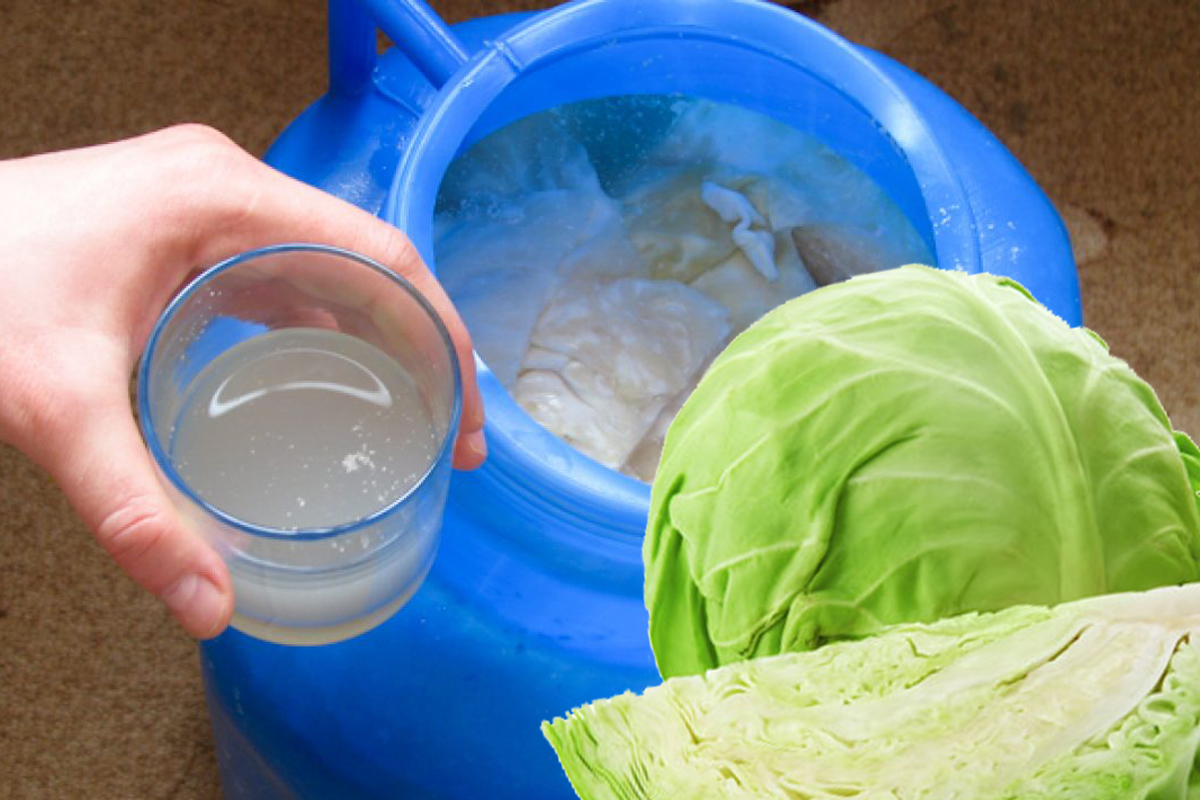 Ingredientul secret care pastrează zeama de la varza murata delicioasa si limpede