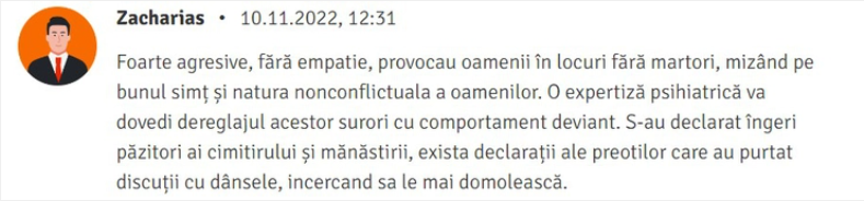 comentariu enoriase 3