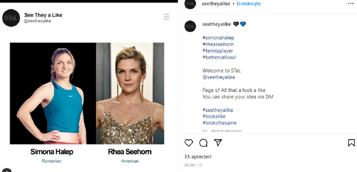 Femeia celebră care seamănă izbitor cu Simona Halep