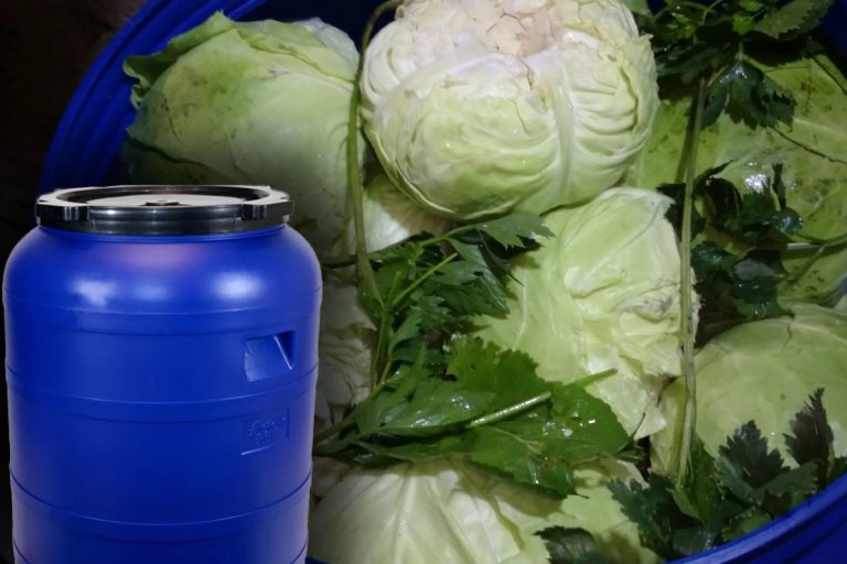 Secretul pentru ca varza murată să nu facă niciodată floare. Ingredientul de aur care o menține limpede până la primăvară